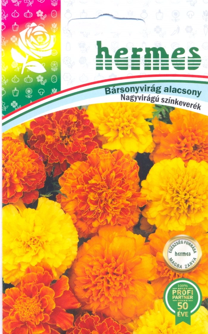 HERMES Bársonyvirág Nagyvirágú, alacsony színkeverék
